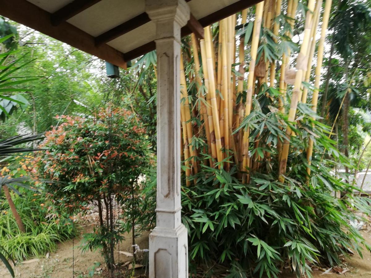 Leaf Guest House Гампола Екстериор снимка